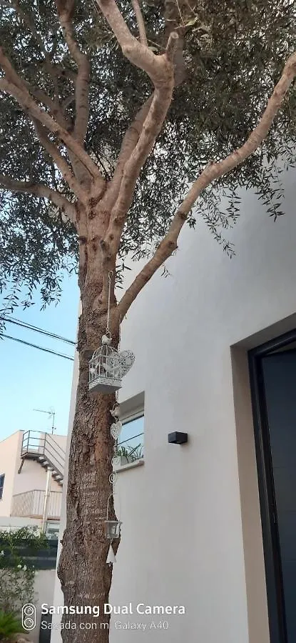 Ca Na Xisca Villa Felanitx